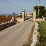Dopo 3 chilometri la strada si divide. Da una parte conduce a Porto Ghiacciolo, dall�altra porta su un viottolo caratterizzato dalla presenza di due colonne in pietra...